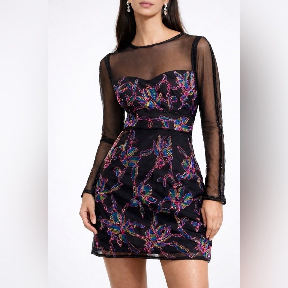 French Connection Emilia Black Embroidered Sheer Mesh Dress Barbiecore/10